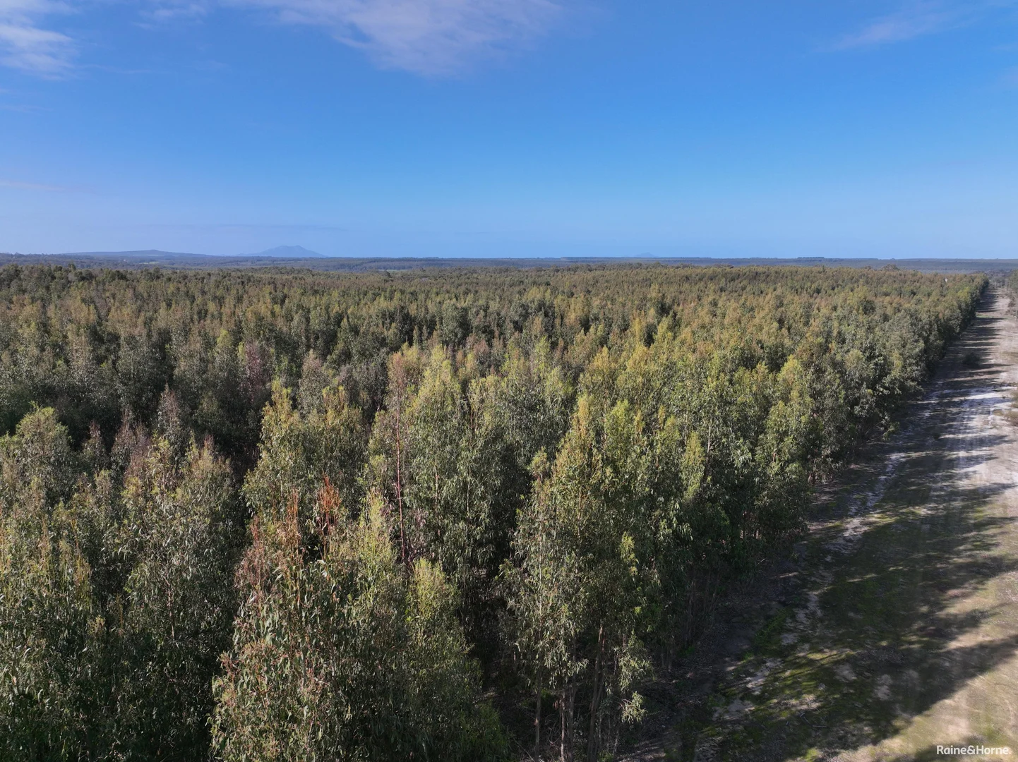 Additional image 7 of Lot 5809 Takenup Road, Napier WA 6330