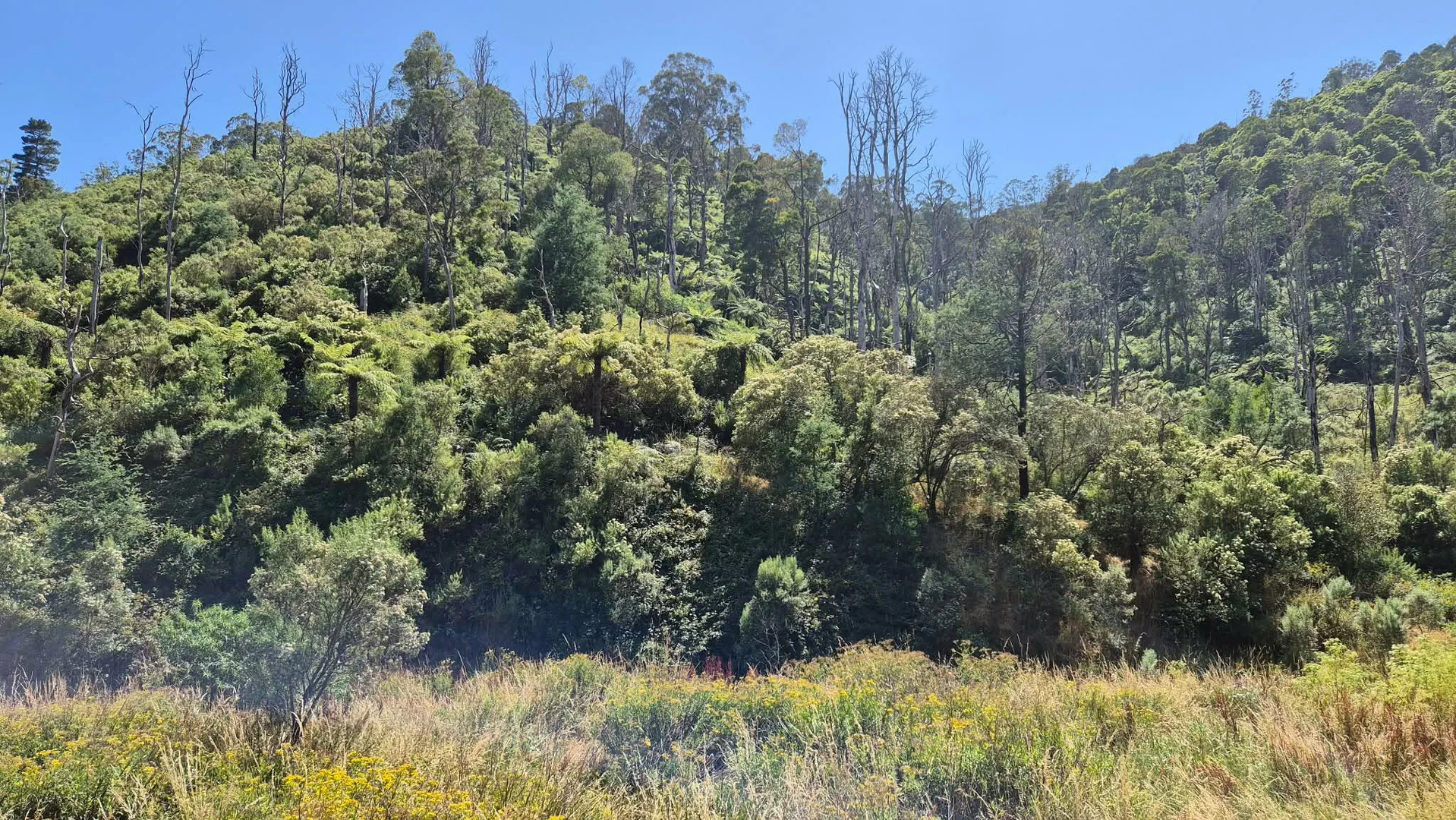 Additional image 9 of 1 Upper Middle Creek Road, Budgeree VIC 3870