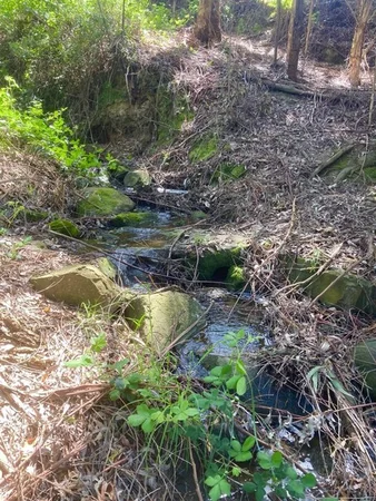 Additional image 3 of 465 Woomera Creek Rd, Toora North VIC 3962