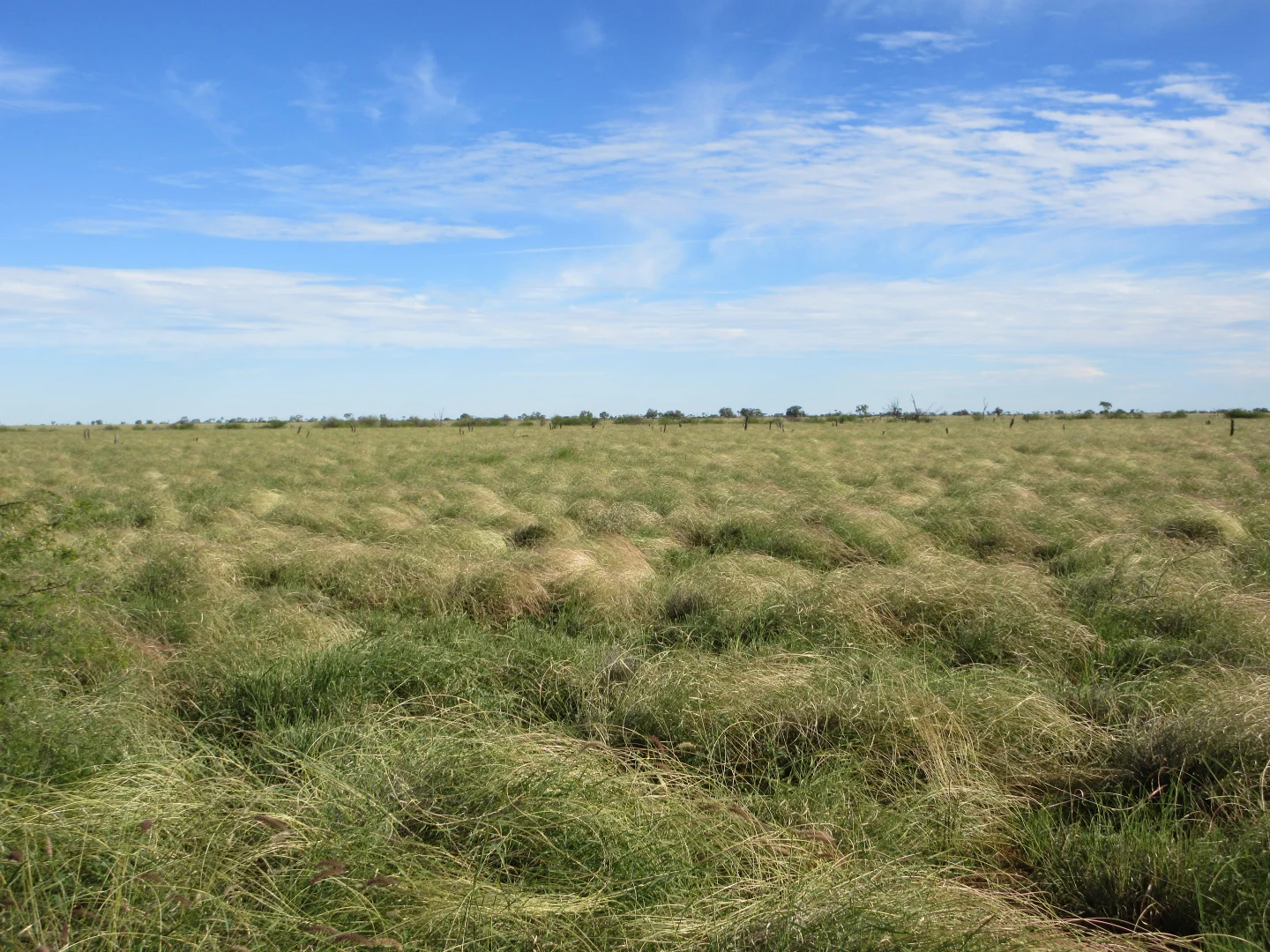 Additional image 9 of 715 Royston Lane, Longreach QLD 4730