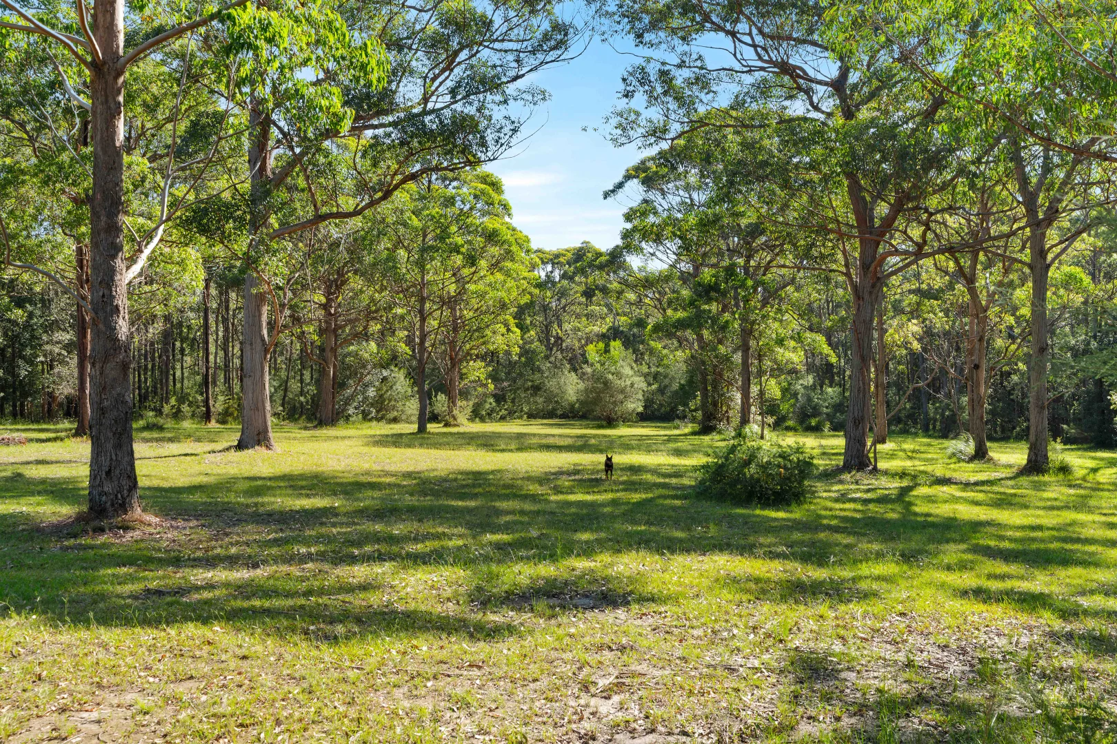 Additional image 46 of 303B Pine Forest Road, Tomerong NSW 2540