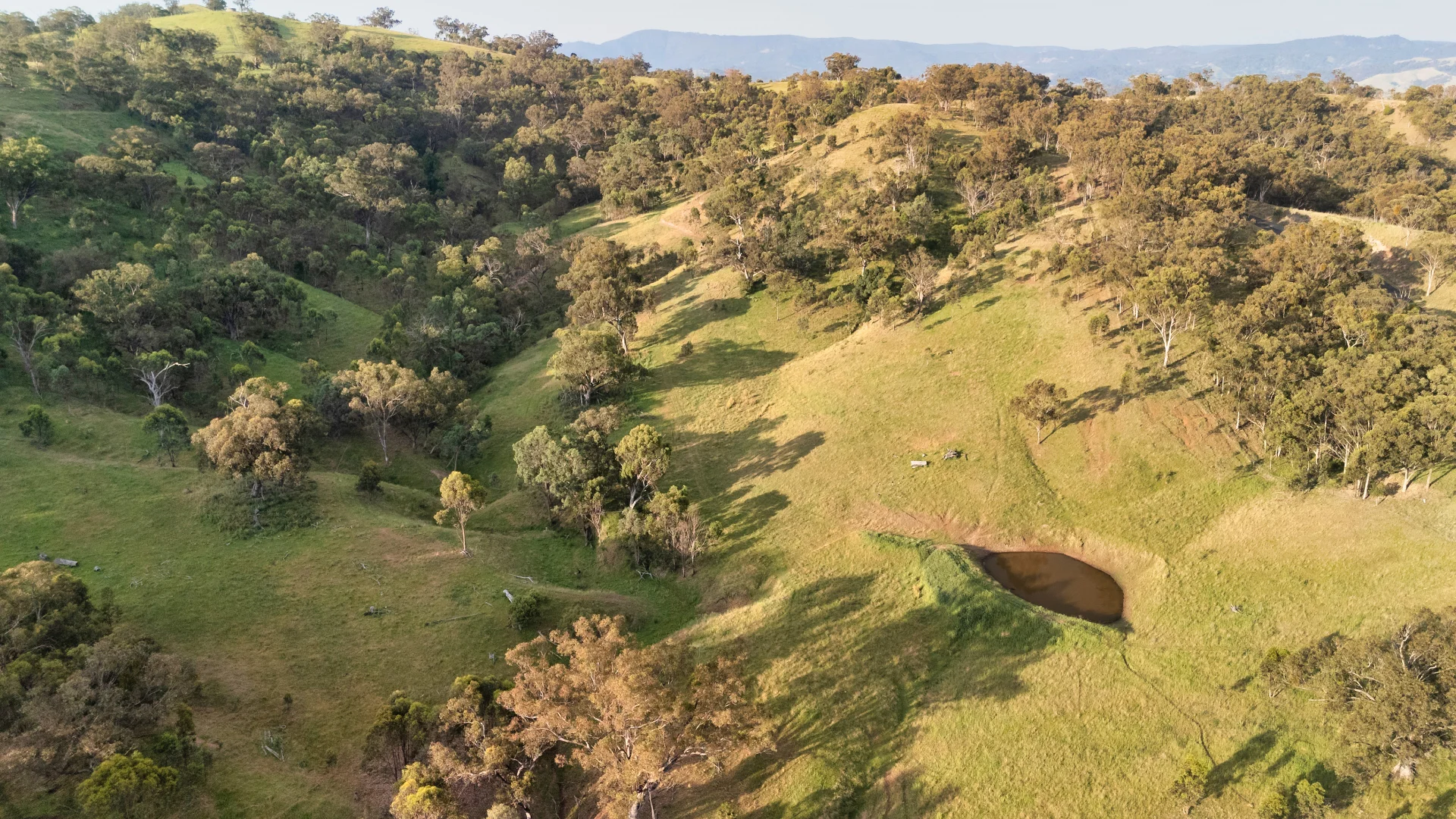 Additional image 4 of Lot 302 Timor Rd, Murrurundi NSW 2338