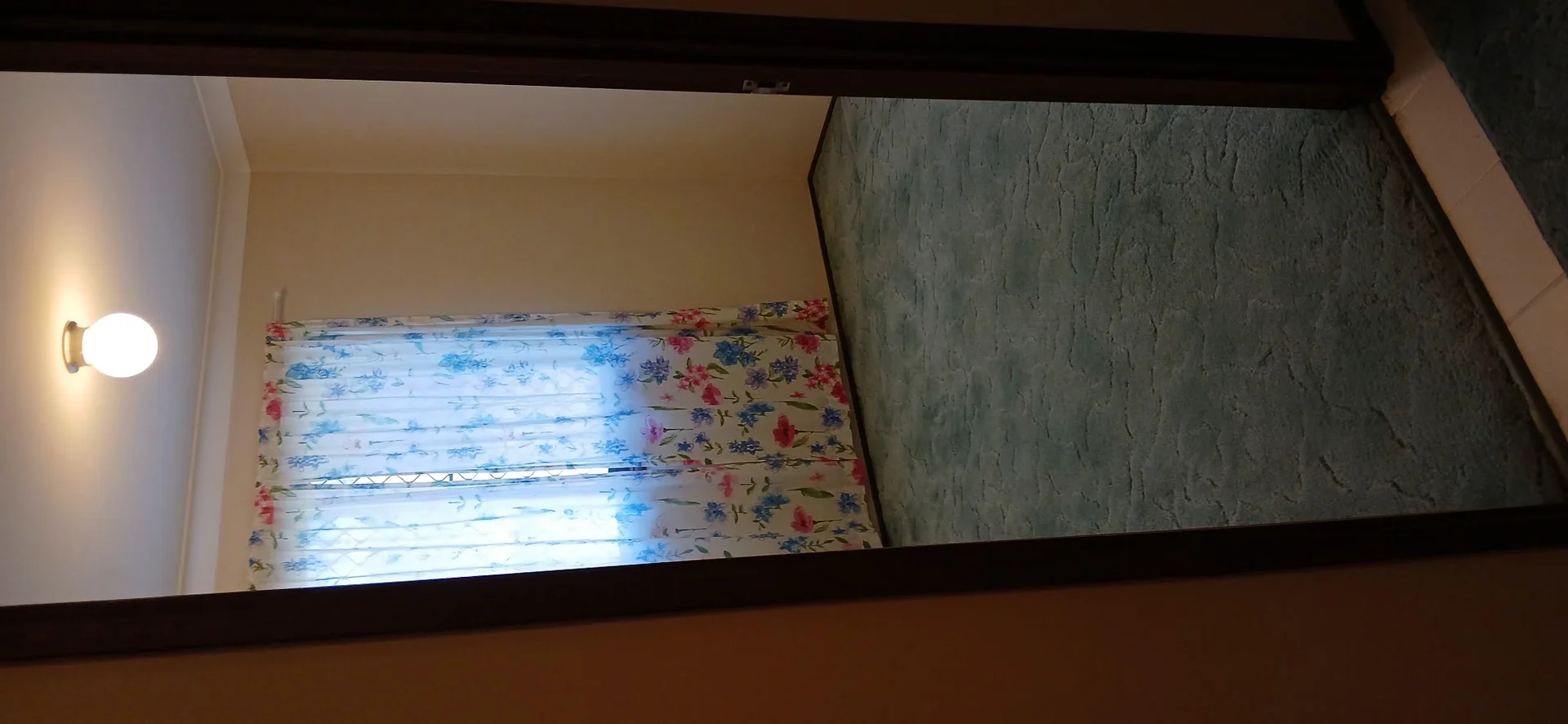 Additional image 21 of Ashmore QLD 4214