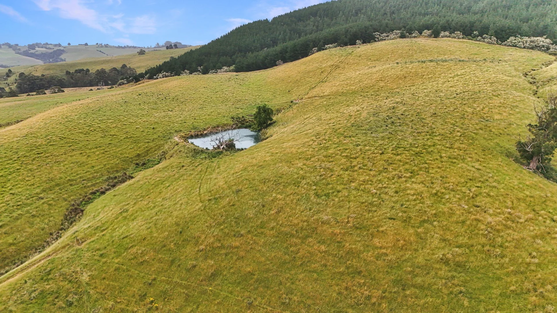 Additional image 11 of 160 Hollins Road, Trida VIC 3953