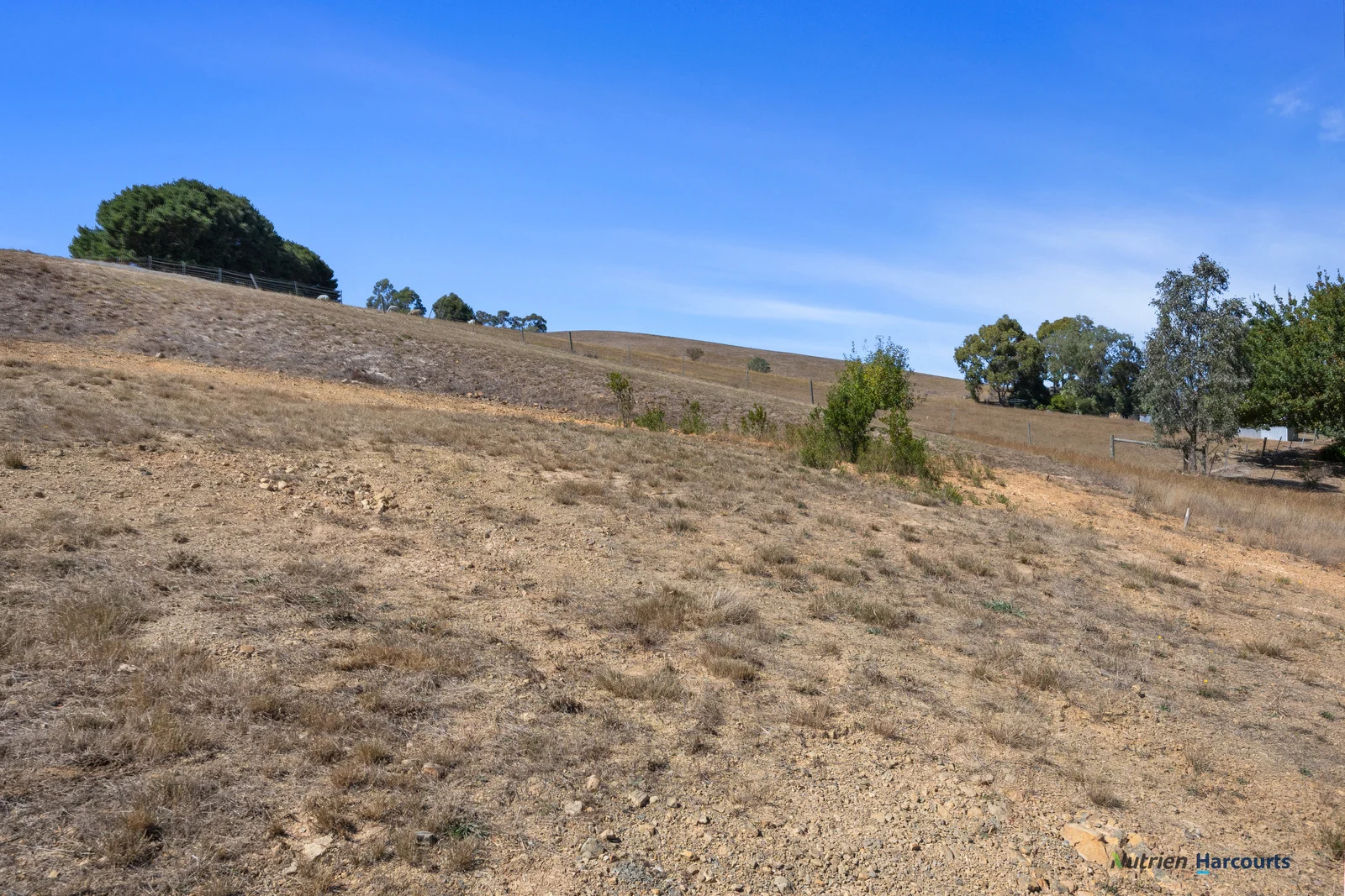 Additional image 7 of 12 Cleary Court, Alexandra VIC 3714