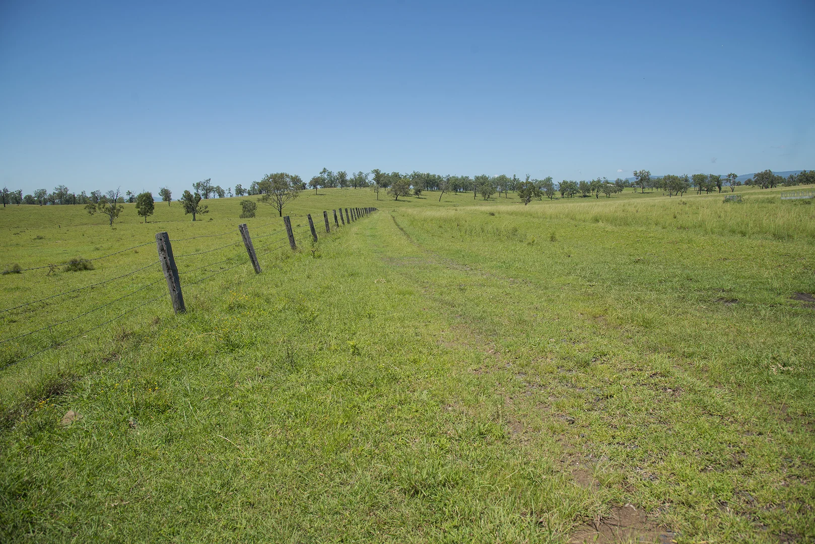 Additional image 14 of Corner Tralee & Waines Road, Mount Walker West QLD 4340