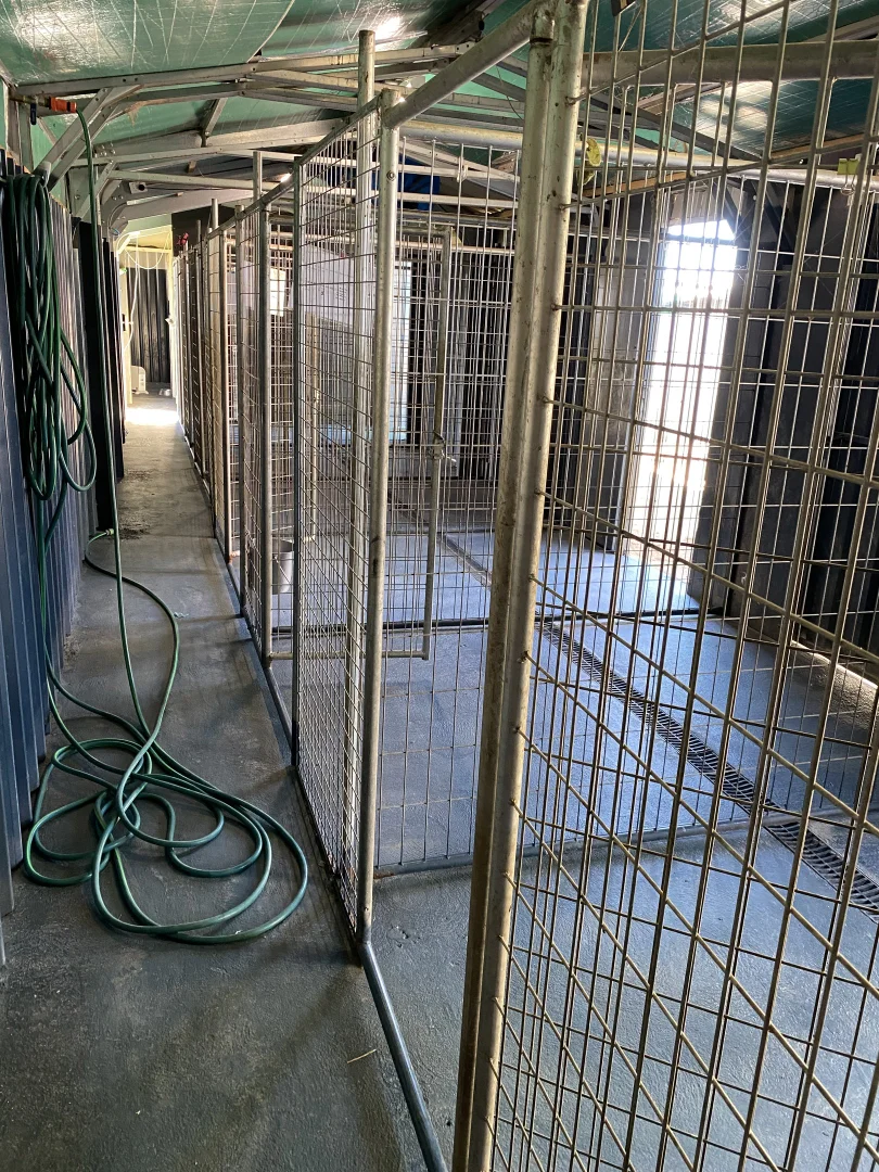 Additional image 16 of 310 Corinella Road, Corinella VIC 3984