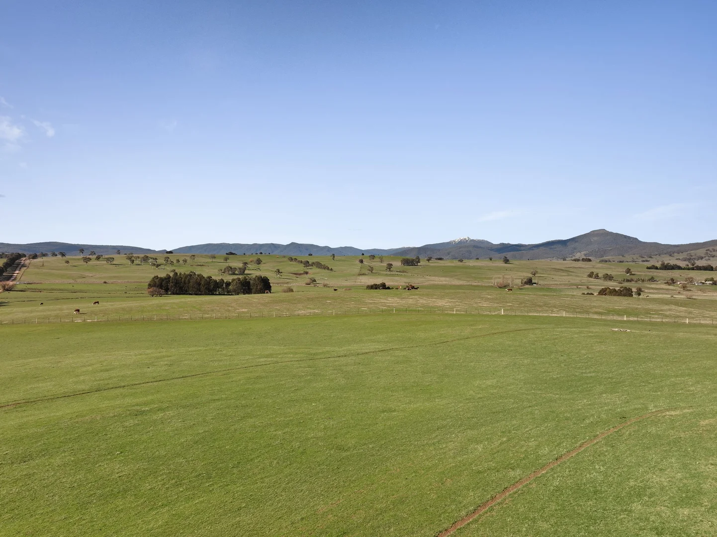 Additional image 6 of Lot 1, 214 Hearns Road, Boorolite VIC 3723