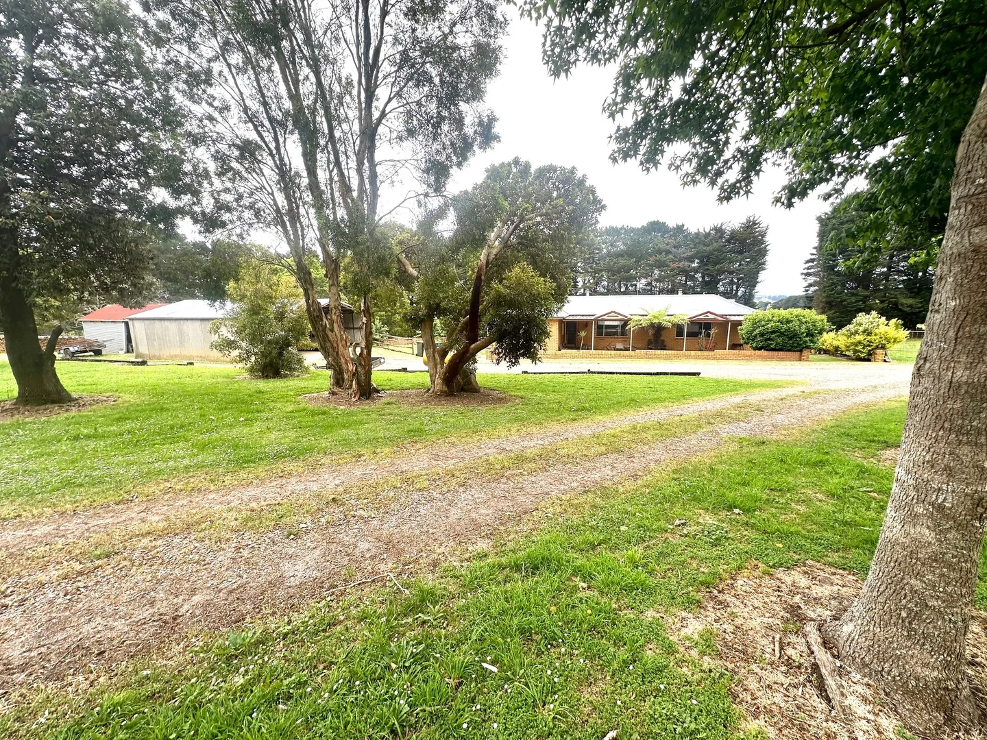 Additional image 18 of 655 Old Thorpdale Road, Mirboo North VIC 3871