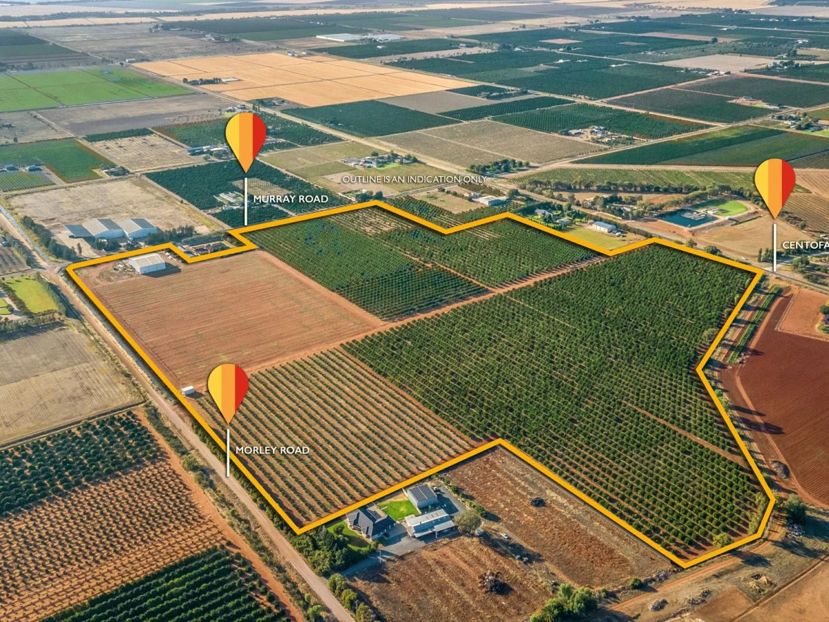 Additional image 4 of 72 Murray Road, Yoogali NSW 2680