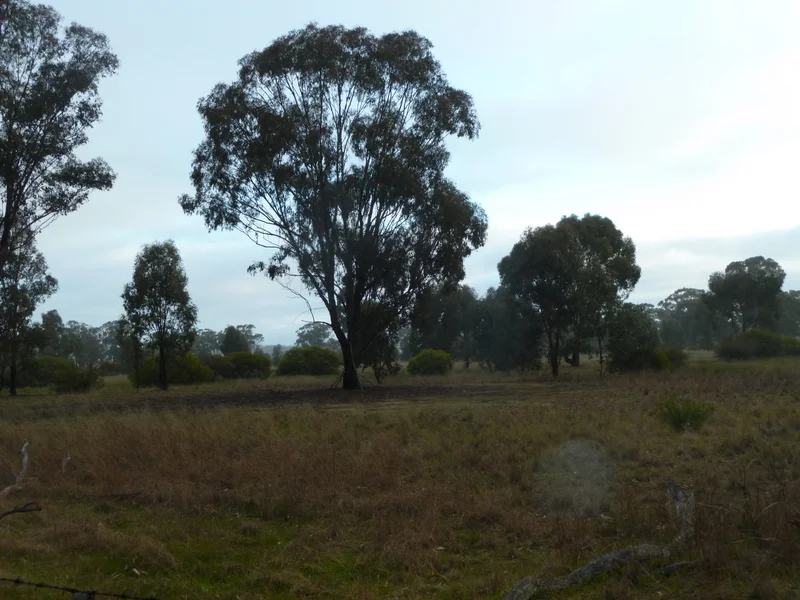 Additional image 12 of Lot 50 Wedderburn Junction East-Fiery Flat Road, Wedderburn VIC 3518