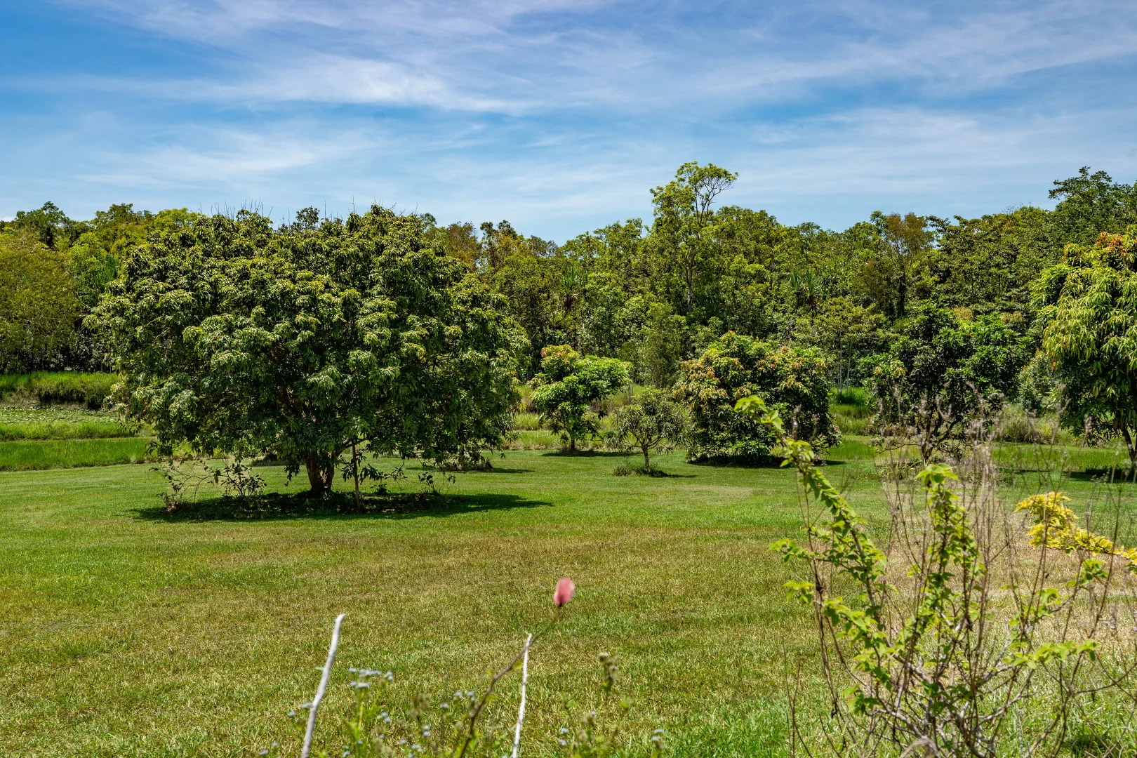 Additional image 25 of 1/21 Mountian View Close, Maria Creeks QLD 4855