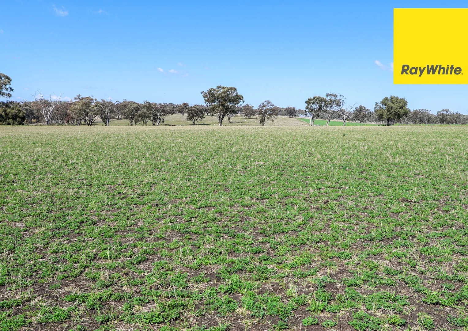 Additional image 25 of 154 Delungra Bypass Road, Inverell NSW 2360