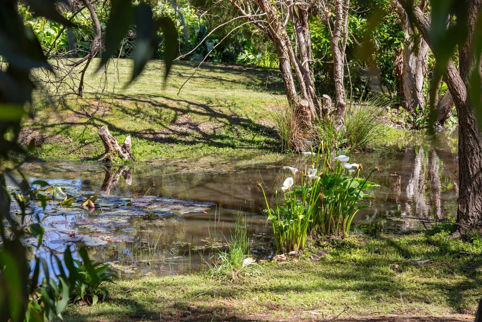 Additional image 26 of 97 Coombes Road, Torquay VIC 3228
