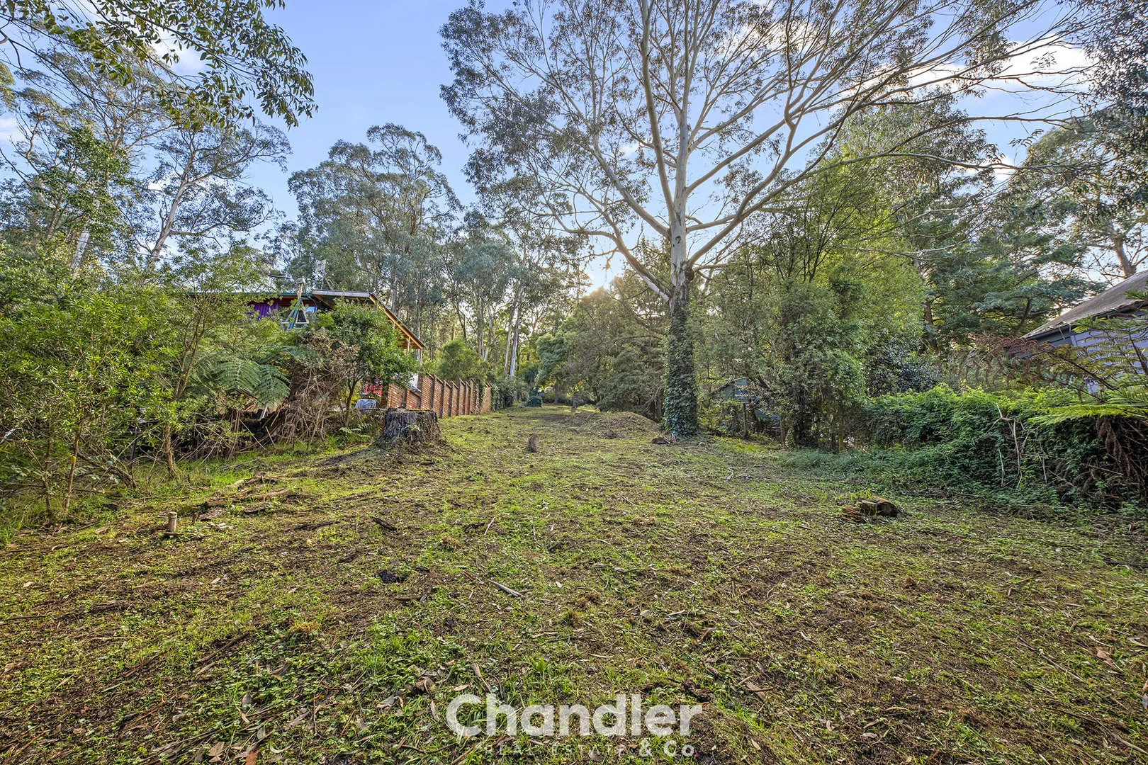 Additional image 4 of 25 Wright Avenue, Upwey VIC 3158