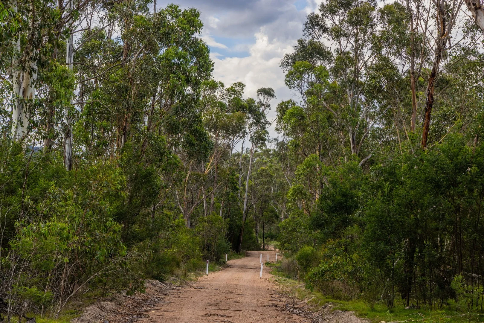 153 Murumba Rd,, Bombay NSW 2622