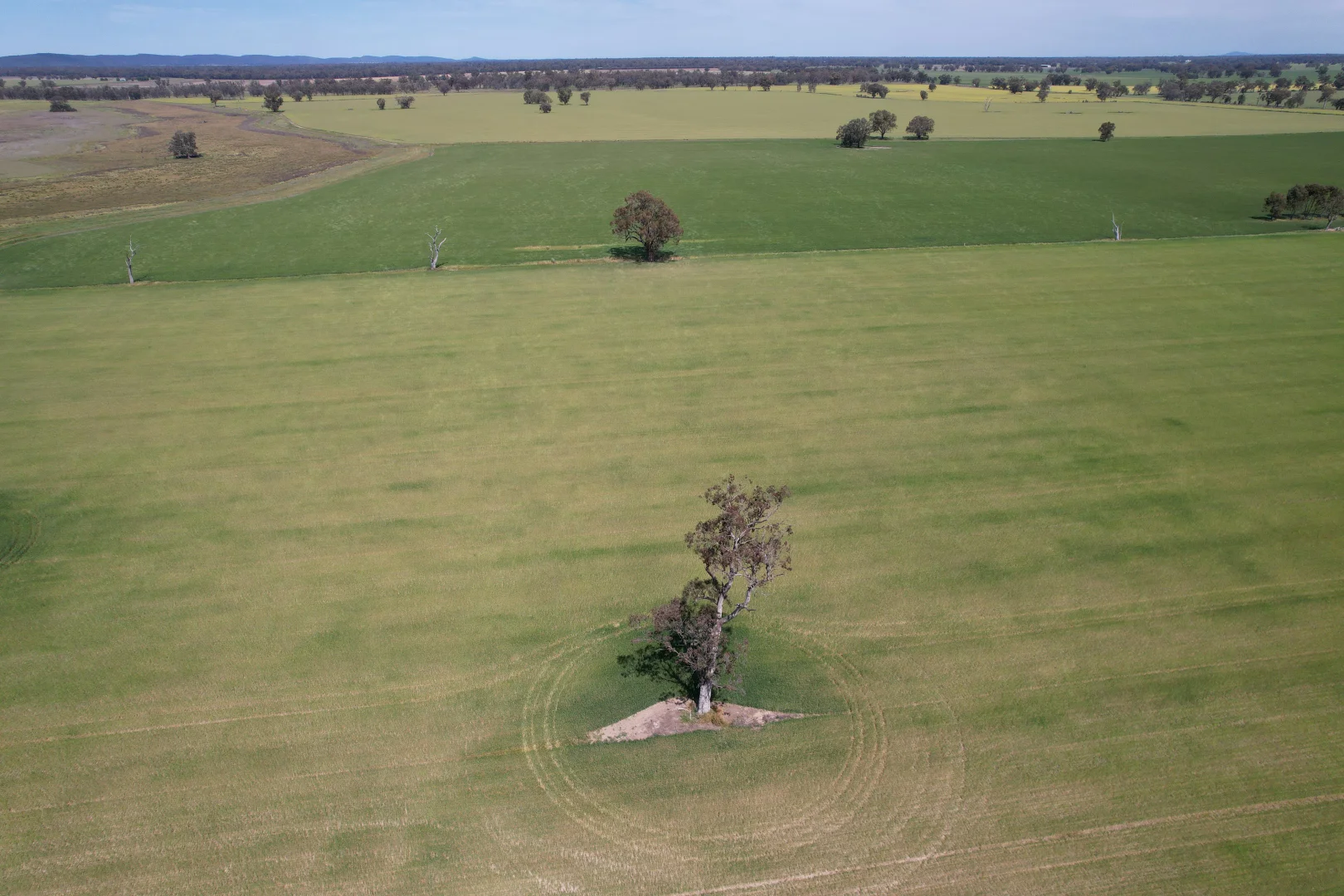 Additional image 14 of 2071 Yarrabandai Road, Bedgerabong NSW 2871