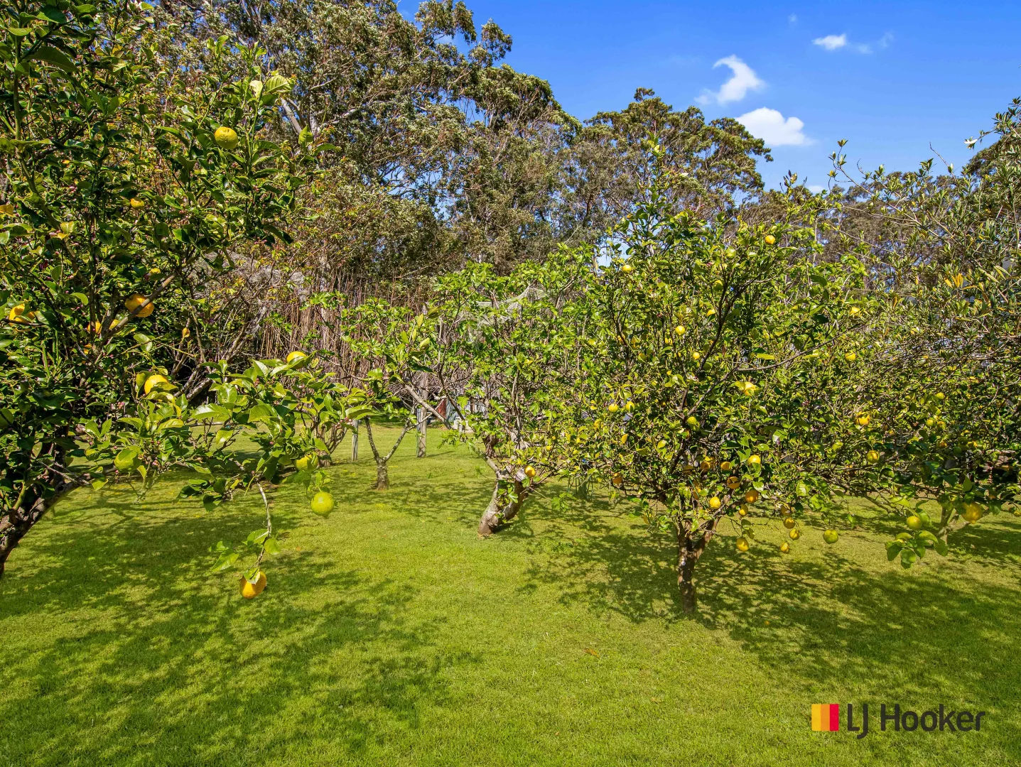 Additional image 33 of 76 Cullendulla Drive, Long Beach NSW 2536