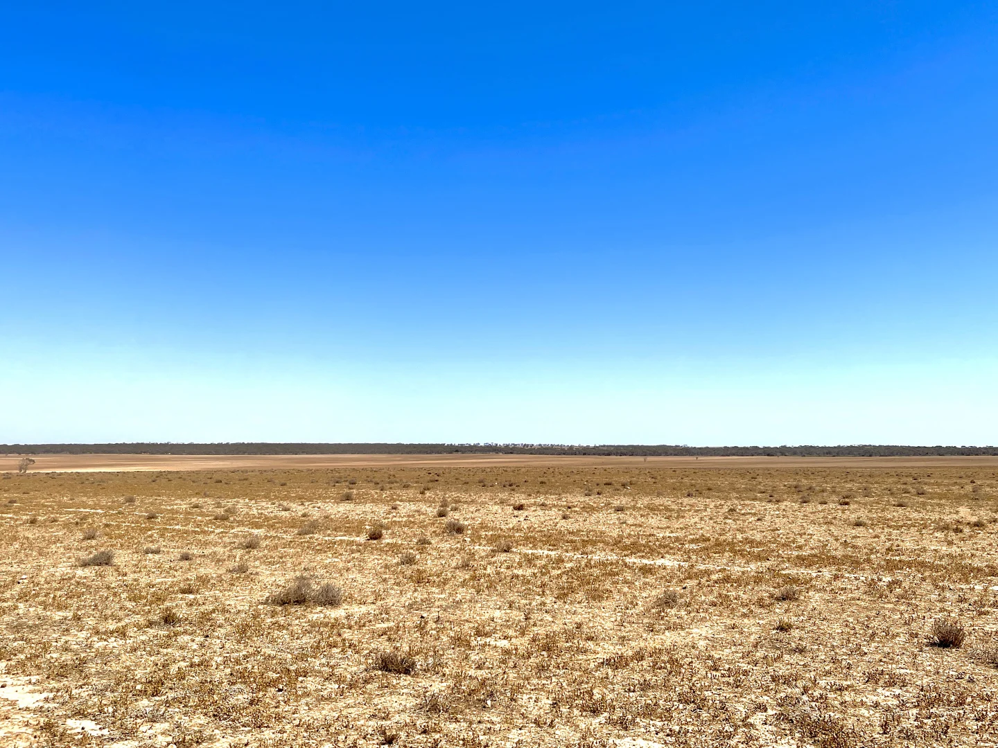 Additional image 7 of 1266 OTC Road, Wandana SA 5690