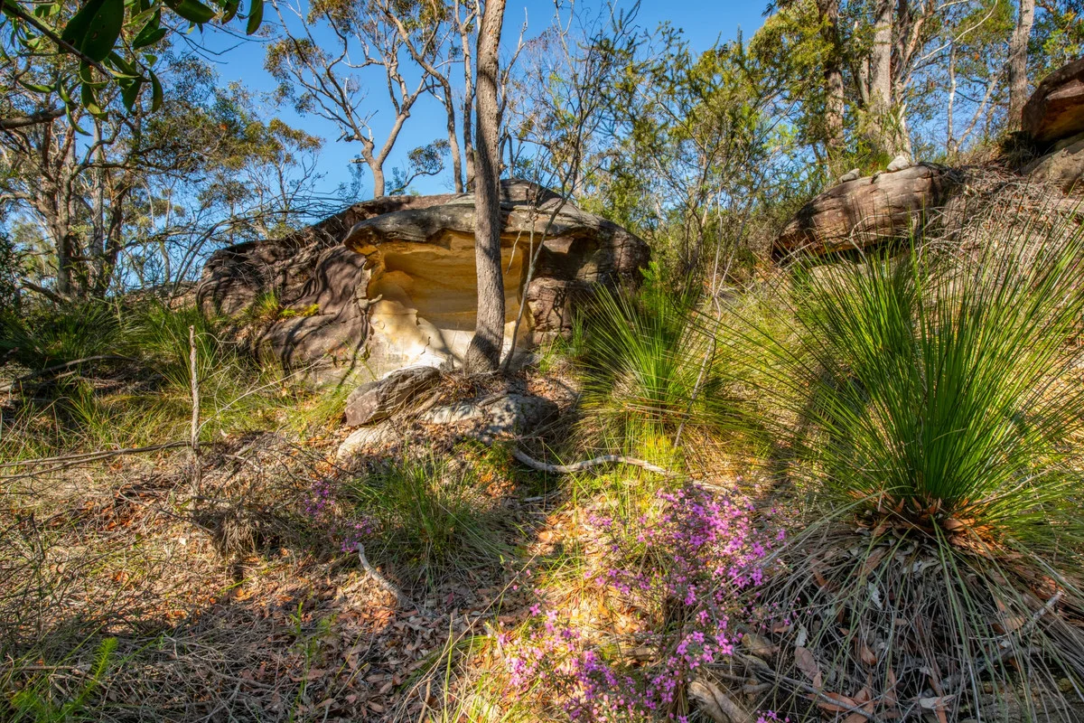 Additional image 17 of 7 Pacific Highway, Calga NSW 2250