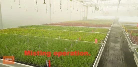 Additional image 8 of Peats Ridge NSW 2250