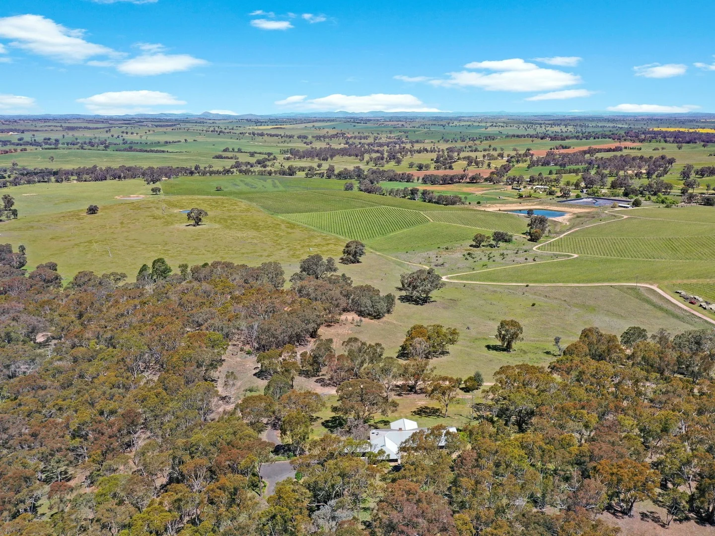 Additional image 23 of 138 Black Range Road, Young NSW 2594