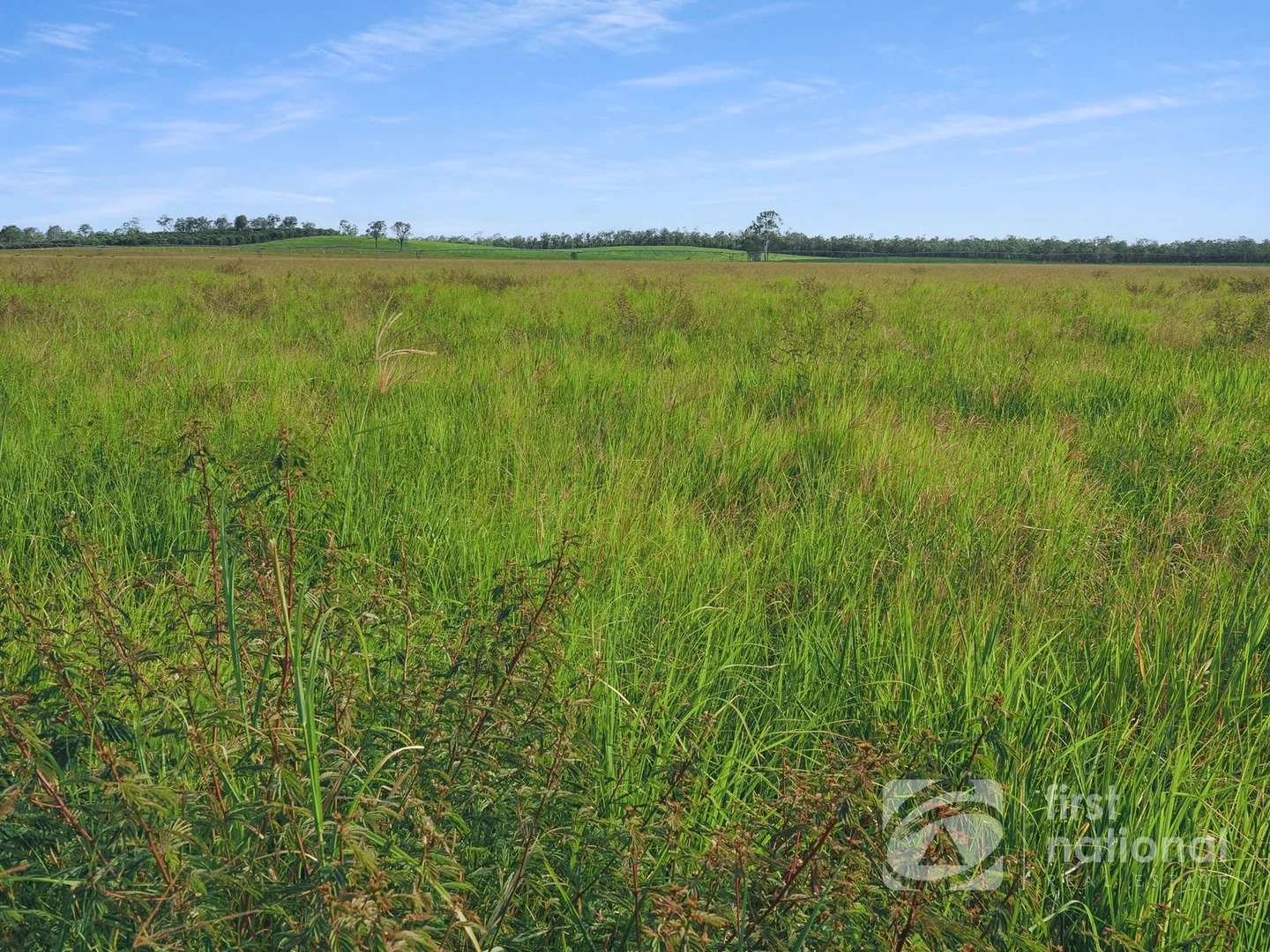 Additional image 31 of 149 Smiths Crossing Road, Bucca QLD 4670