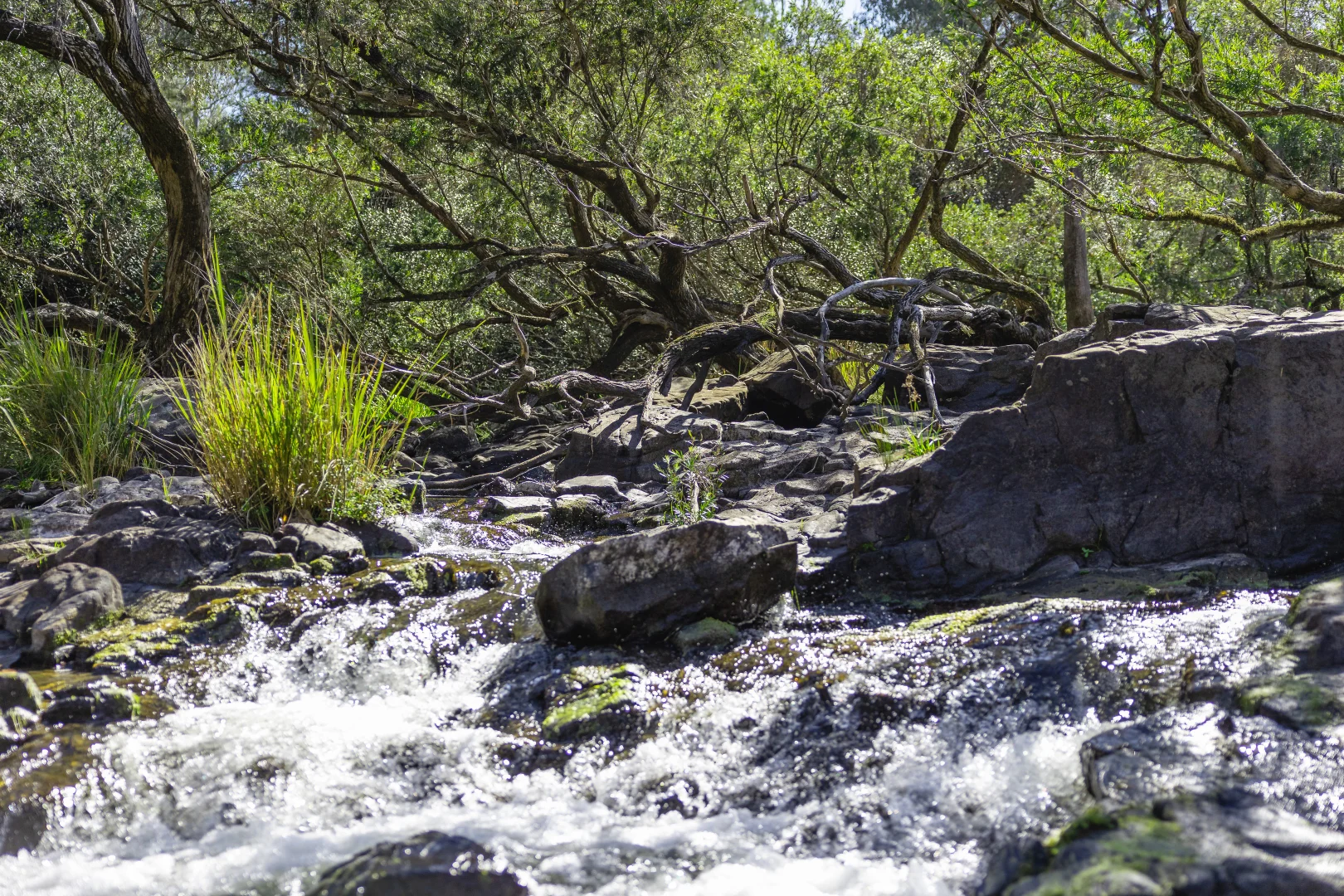 Additional image 2 of Lot 201 Paddys Flat Road, Tooloom NSW 2475