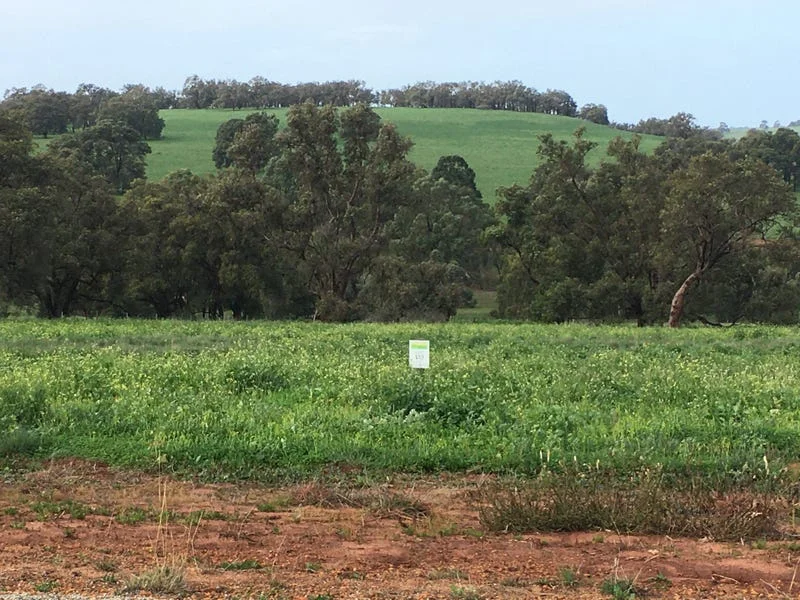 Additional image 13 of Lot 81 Cheriton Road, Gingin WA 6503