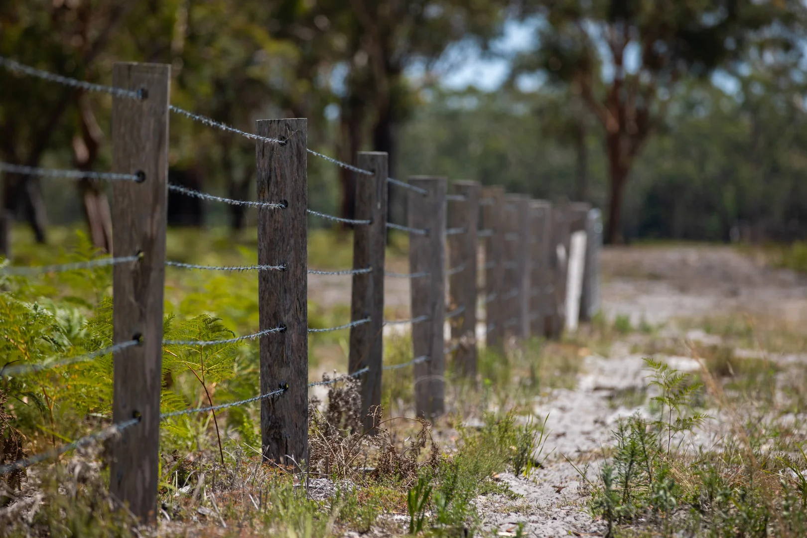 Additional image 15 of 79, 81 & 249 Elliots Road, Nabiac NSW 2312