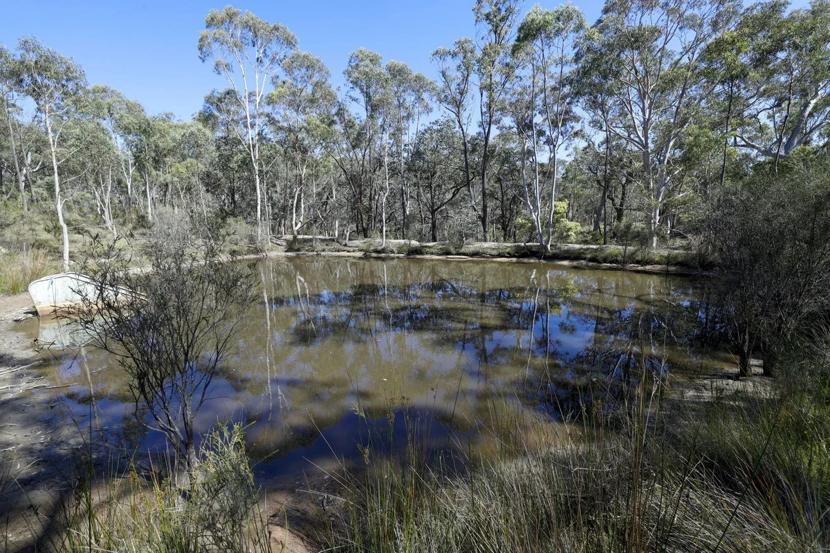 Additional image 2 of 494 Jerralong Road, Oallen NSW 2622