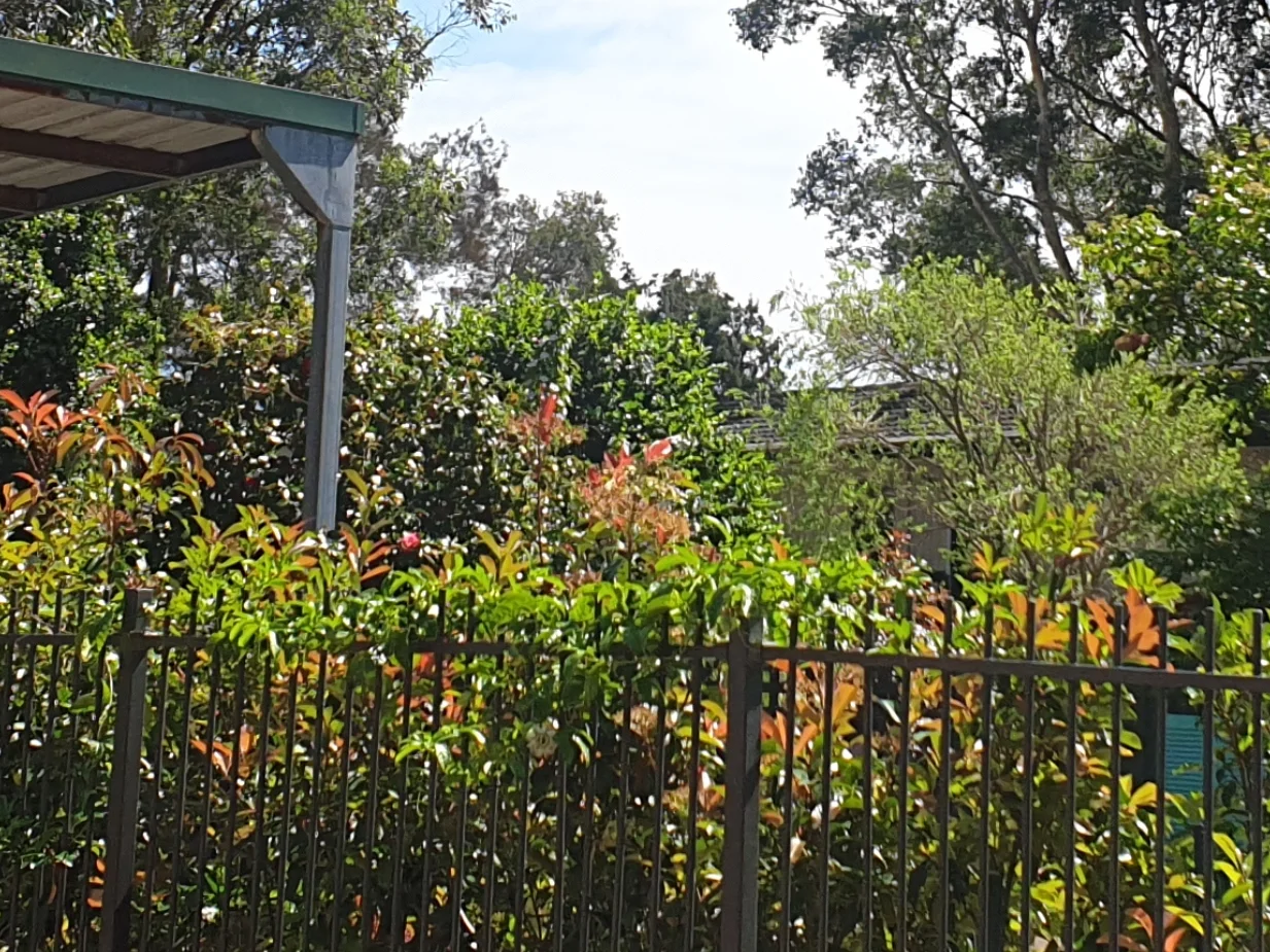 Additional image 14 of 39 Francis Avenue, Lemon Tree Passage NSW 2319