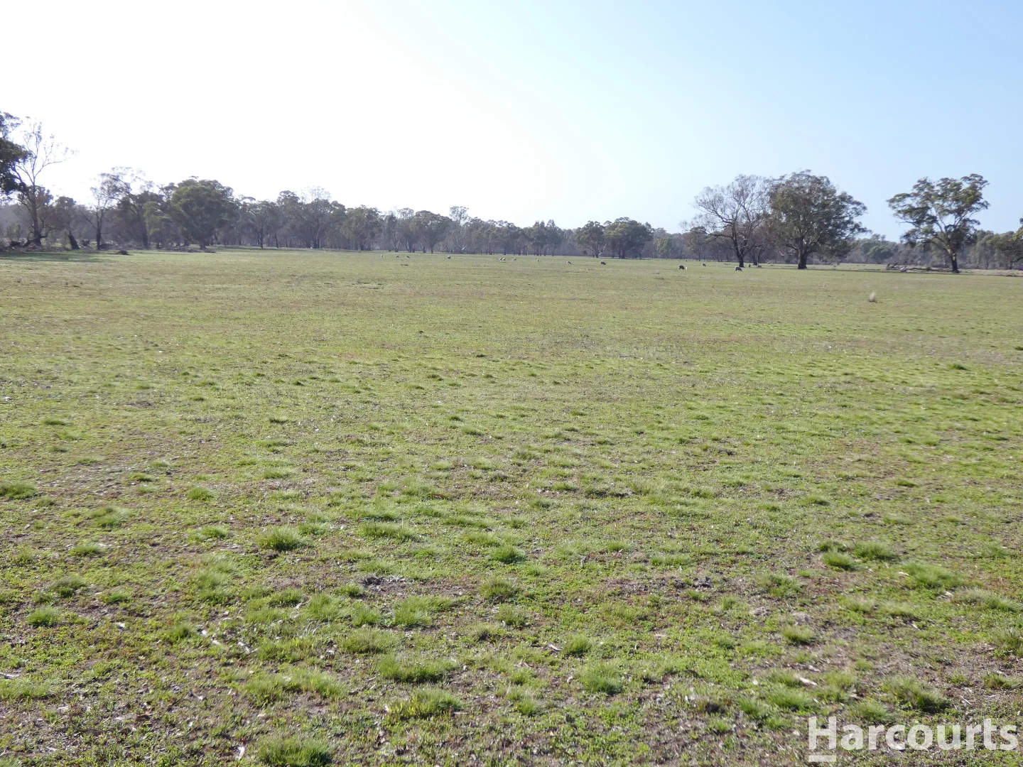 Additional image 16 of 6080 Western Highway, Dadswells Bridge VIC 3385
