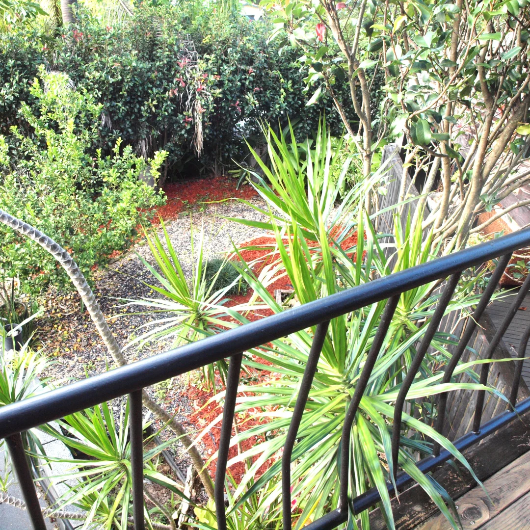 Additional image 20 of 43 Coramba Road, Coffs Harbour NSW 2450