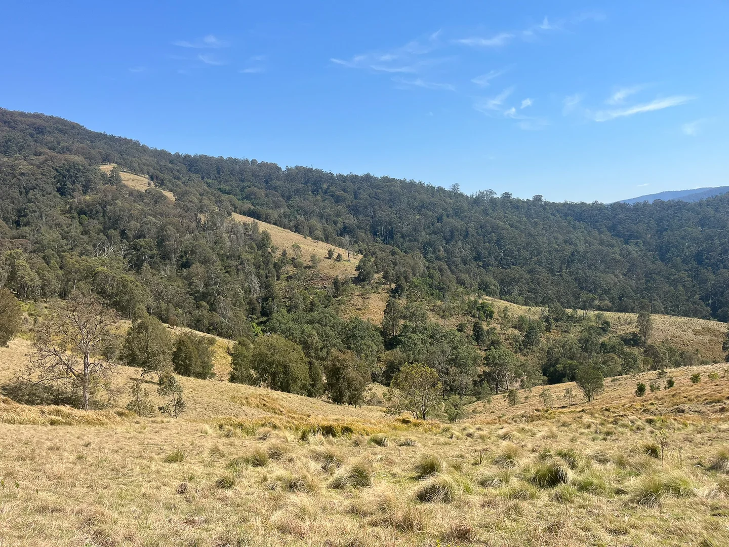 Additional image 3 of 638 Tops Road, Nowendoc NSW 2354