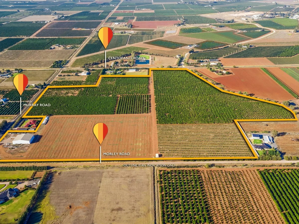 Additional image 8 of 72 Murray Road, Yoogali NSW 2680