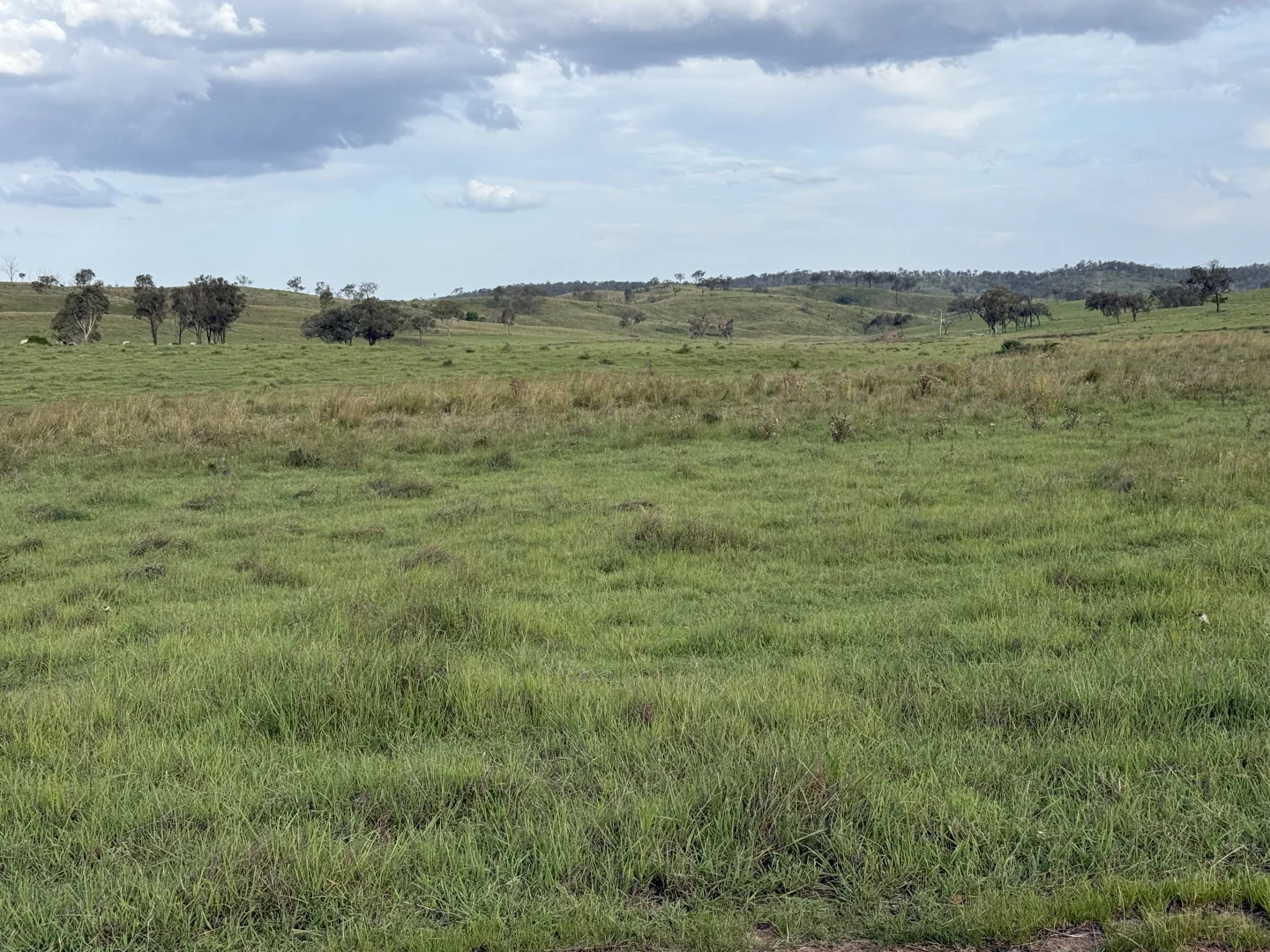 Additional image 12 of 379 Dakiel Road, Bancroft QLD 4630