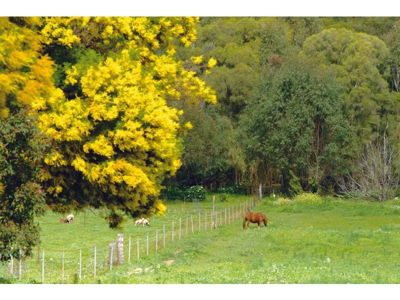 Additional image 7 of Lot 81 Cheriton Road, Gingin WA 6503