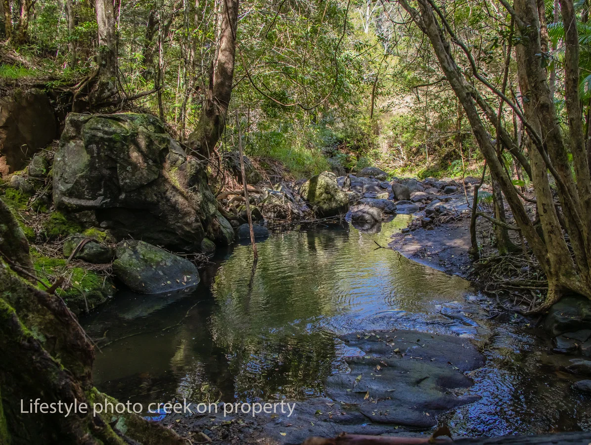 Additional image 23 of Share 38/193 Hidden Valley Road, Eungella NSW 2484