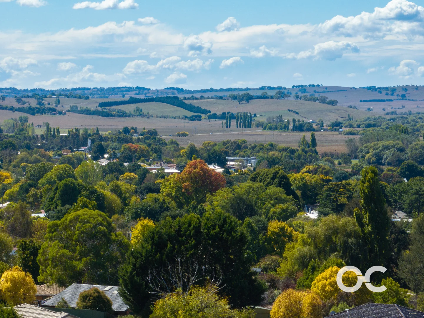 Additional image 8 of 11 St Vincent Welsh Way, Blayney NSW 2799