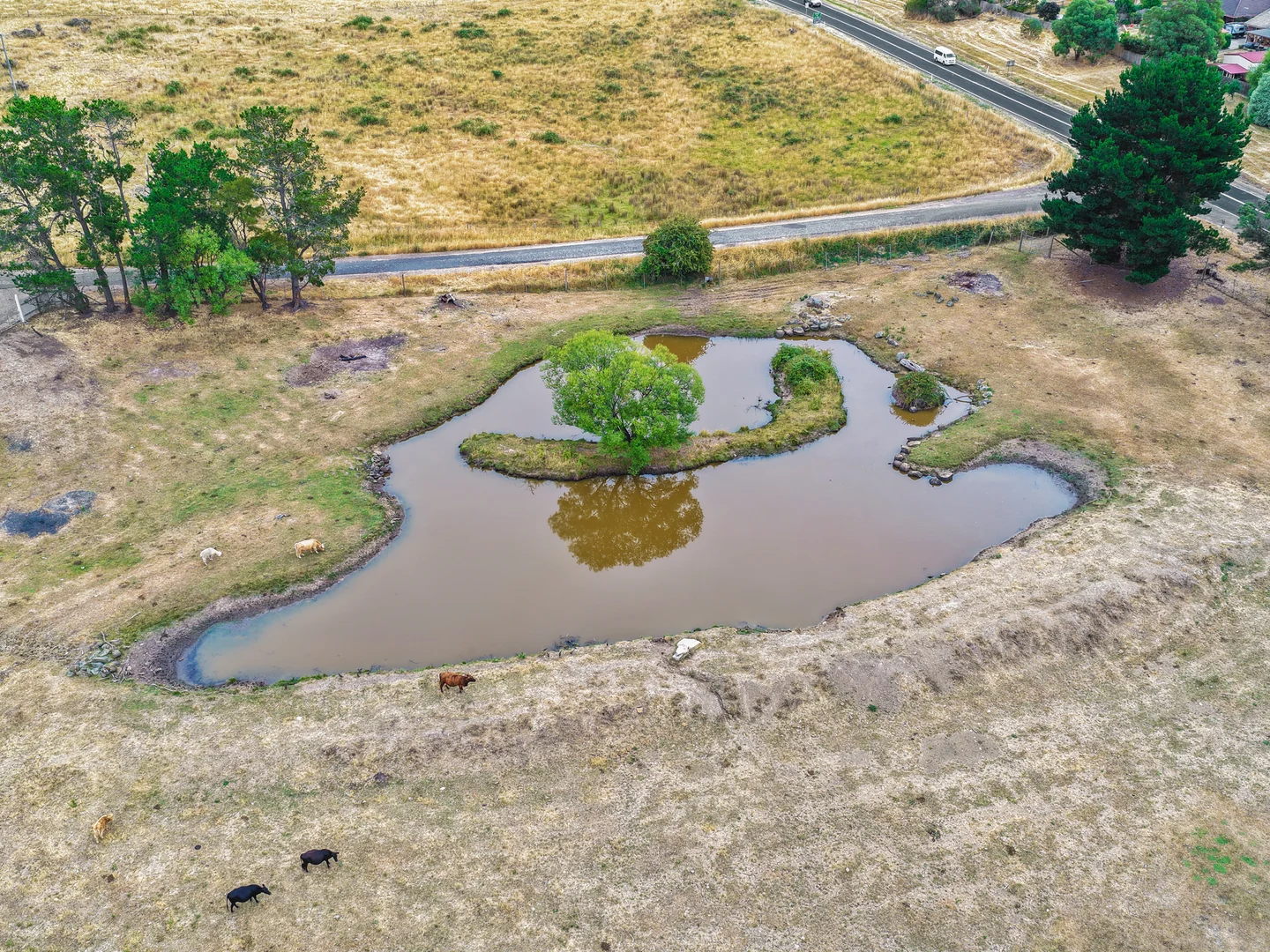 Additional image 55 of 19 Saunders Drive, Hadspen TAS 7290