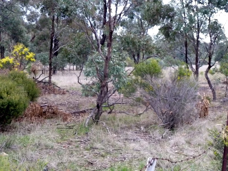 Additional image 8 of Lot 50 Wedderburn Junction East-Fiery Flat Road, Wedderburn VIC 3518