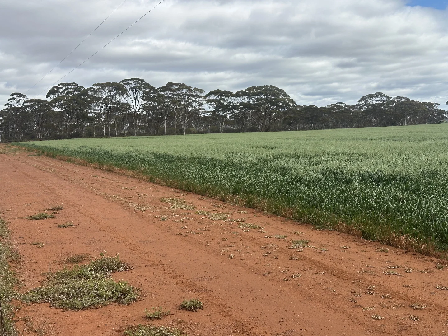 Additional image 22 of 3279 Calzoni Road, Hyden WA 6359