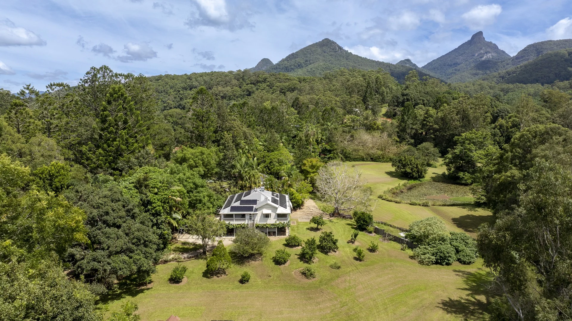 Additional image 19 of 64 Mount Warning Road, Mount Warning NSW 2484