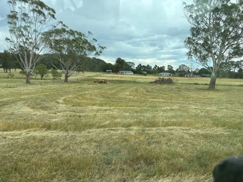 Additional image 18 of 80 Ferndale Road, Bundanoon NSW 2578