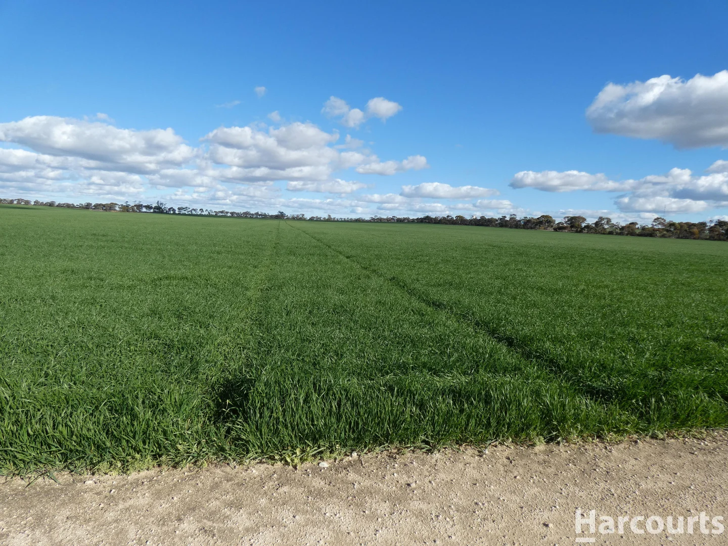 Additional image 30 of 4429 Hopetoun-Rainbow Road, Rainbow VIC 3424