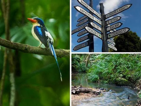 Additional image 9 of 1-11 Discovery Drive, Kuranda QLD 4881