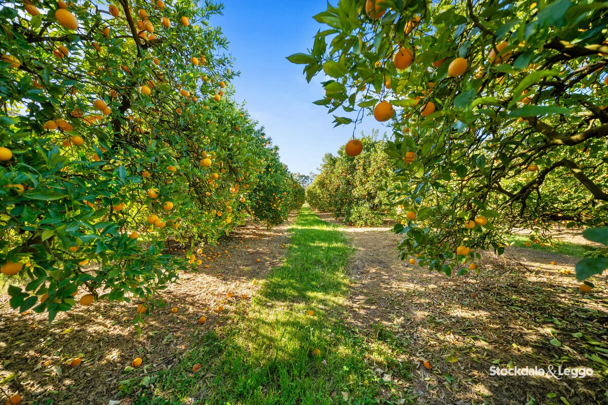 Additional image 33 of 154-198 Torgannah Road, Koonoomoo VIC 3644