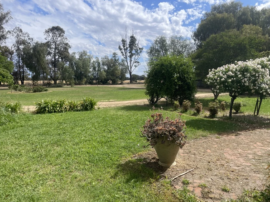 Additional image 7 of 'Kalawar' 1822 Pretty Pine Road, Morago NSW 2710