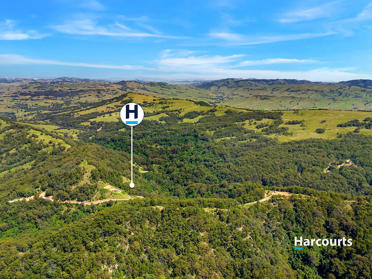 Additional image 11 of 815 Goorangoola Creek Road, Goorangoola NSW 2330